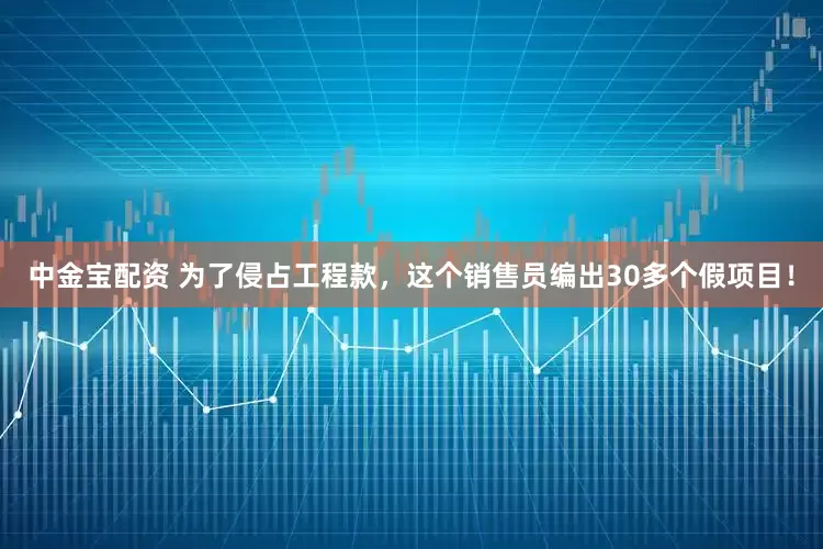 中金宝配资 为了侵占工程款，这个销售员编出30多个假项目！